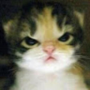 Meet your Posher, Ayaan